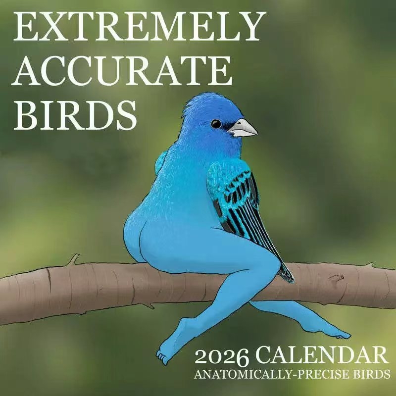 Home Decor Xmas Gifts - CALENDAR OF EXTREMELY ACCURATE BIRDS2026YEAR Illustrated