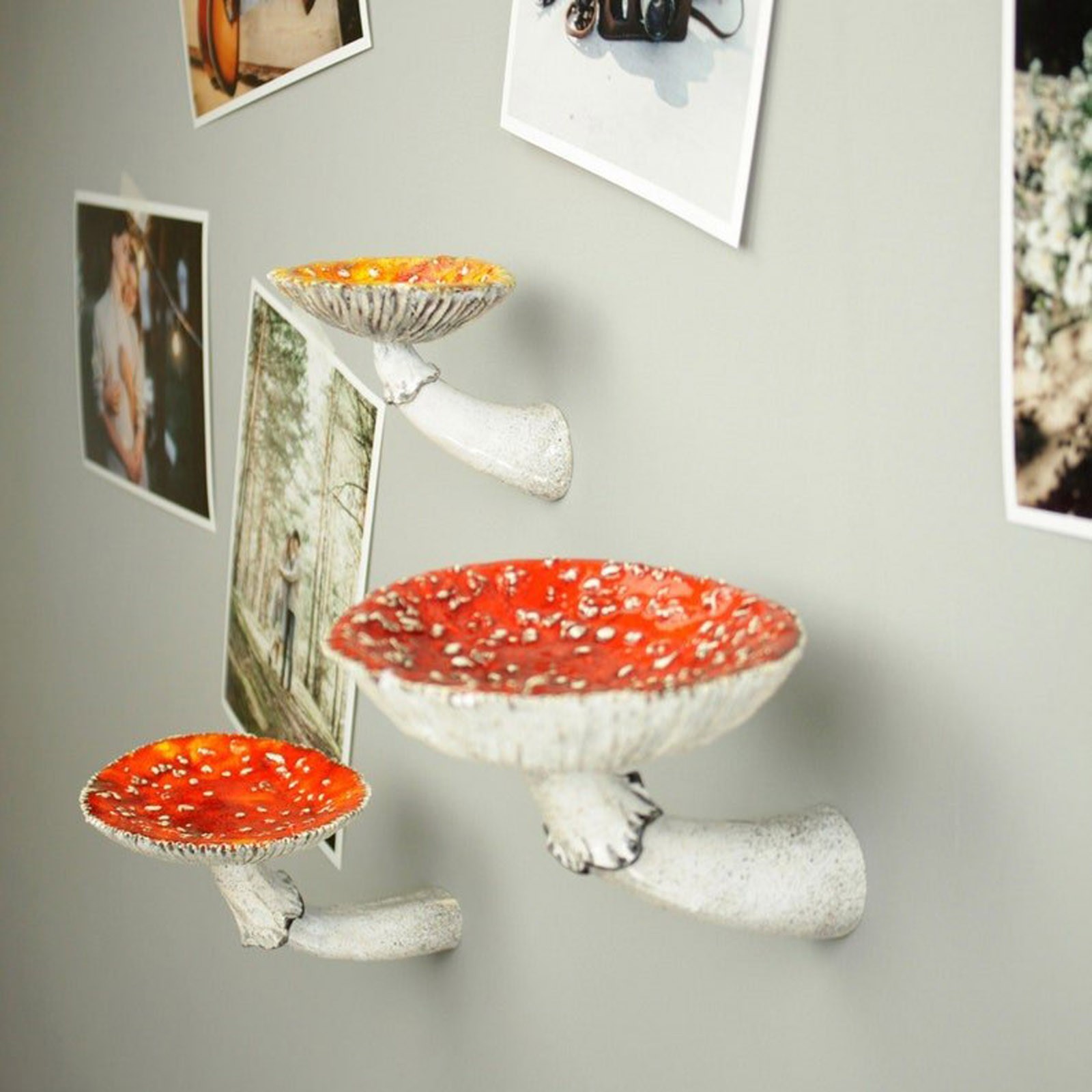 2024 Creative Resin Mushroom-H - Floating Shelves ulasan dan harga